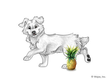 PineappleCorsie.png