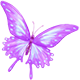 ButterflyFrostPink.png