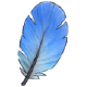 ContourFeatherBlue.png