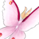 BlossomMoth.png