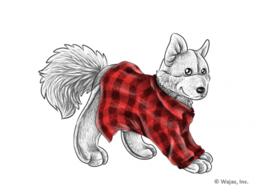 SweaterFlannelRedPlushie.png