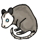 Possum.png
