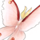 BlossomMothPeach.png