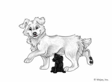 PuppyHowlingBlackCorsie.png