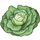 CabbagePlant.png
