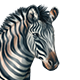 Zebra(Accessory).png