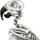 SkeletonParrot.png
