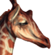 Giraffe(Accessory).png