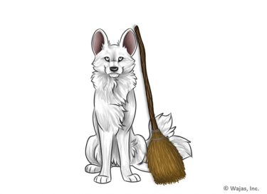 BroomAfrican.png