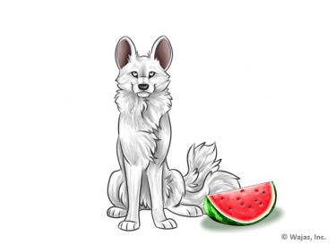 WatermelonAfrican.png