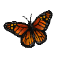 MonarchButterflies.png