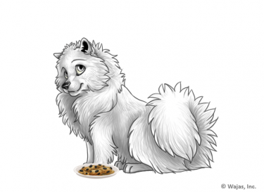 PlateWithCookiesSpitz.png