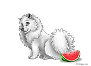 WatermelonSpitz.png