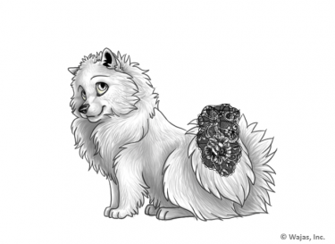 GothicLaceTailSpitz.png