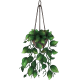 HangingPlantDark.png