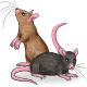 LabMice.png