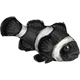 ClownfishBlack.png