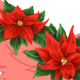 PoinsettiaTail.png