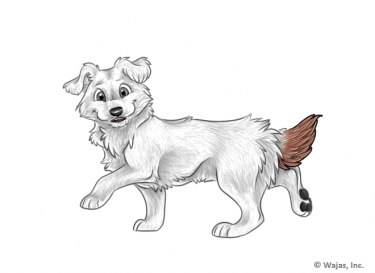 FurtensionTailBrownCorsie.png