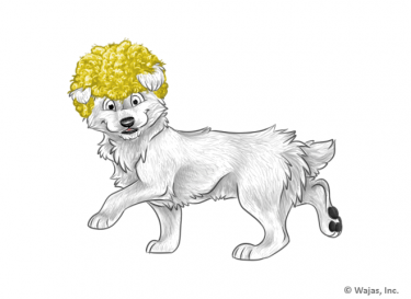 AfroYellowCorsie.png