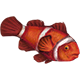 ClownfishMaroon.png