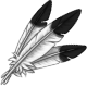 FeathersEarEagle.png
