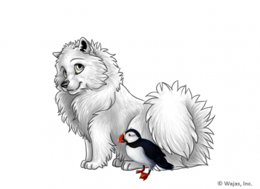 PuffinSpitz.png
