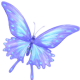 ButterflyFrost.png