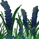 AfternoonForestGreenWildflowers.png