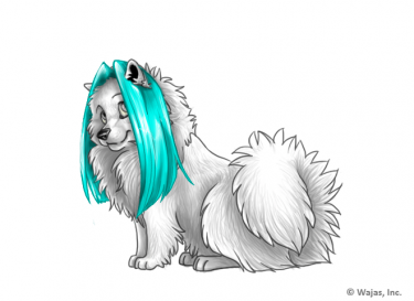 LonghairCyanSpitz.png