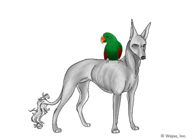 EclectusMaleEgyptian.png