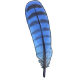 TailFeatherBlue.png