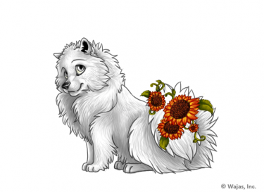 TailSunflowersRedSpitz.png