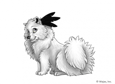 FeathersEarCrowSpitz.png