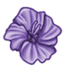 PurpleHawaiianFlower.png