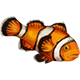 Clownfish - The Wajas Wiki