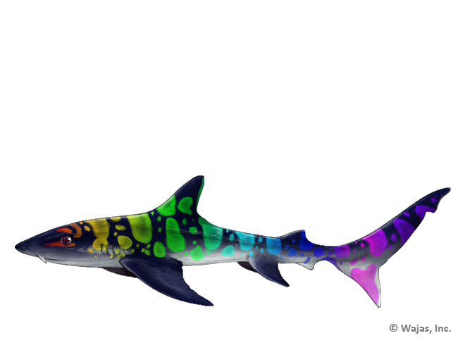 File:LeopardSharkRainbowBreedless.png
