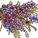 BouquetWildflower.png