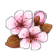 CherryBlossomSprig.png