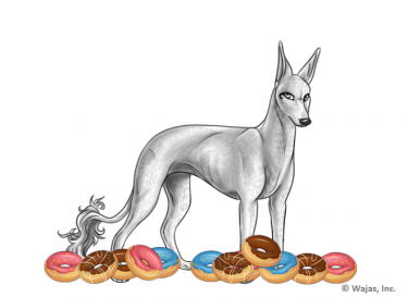DonutsEgyptian.png