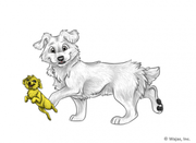 PuppyHappyYellowCorsie.png