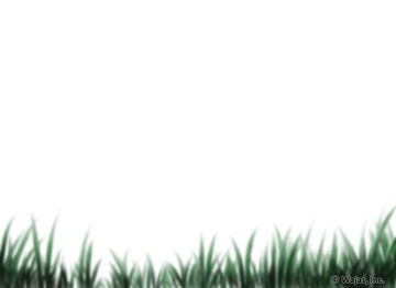 Blurred Grass Dark Foreground - The Wajas Wiki