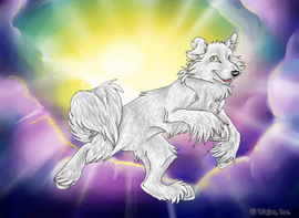 Spring Sunrise Wallpaper - The Wajas Wiki